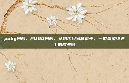 pubg白刺,PUBG白刺,从初代目到意难平,一位现象级选手的成与败