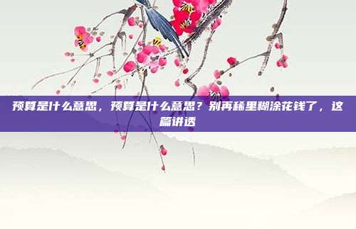 预算是什么意思,预算是什么意思?别再稀里糊涂花钱了,这篇讲透