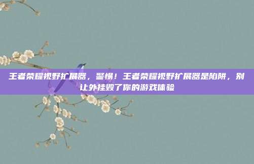 王者荣耀视野扩展器,警惕!王者荣耀视野扩展器是陷阱,别让外挂毁了你的游戏体验