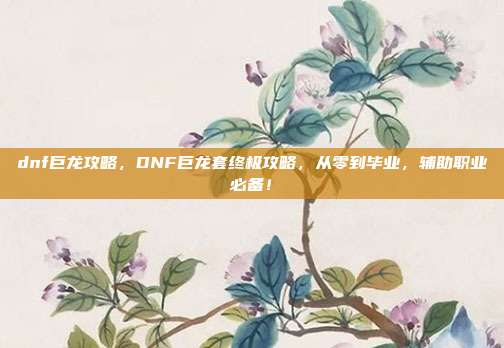 dnf巨龙攻略，DNF巨龙套终极攻略，从零到毕业，辅助职业必备！