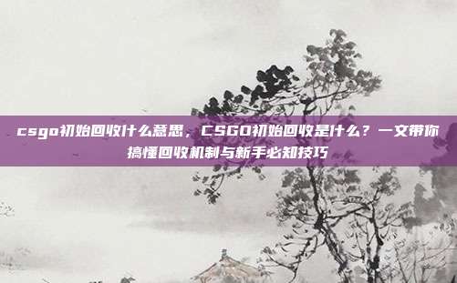 csgo初始回收什么意思,CSGO初始回收是什么?一文带你搞懂回收机制与新手必知技巧