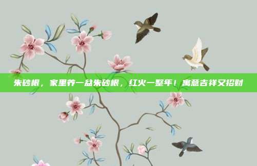 朱砂根,家里养一盆朱砂根,红火一整年!寓意吉祥又招财