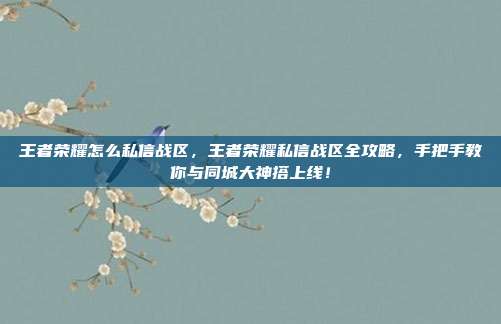 王者荣耀怎么私信战区,王者荣耀私信战区全攻略,手把手教你与同城大神搭上线!