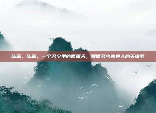 陈翼，陈翼，一个名字里的两重天，藏着多少普通人的英雄梦