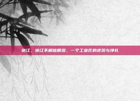 袍江,袍江不相信眼泪,一个工业区的逆袭与挣扎