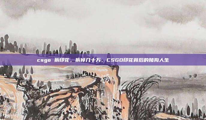 csgo 拆印花，拆掉几十万，CSGO印花背后的赌狗人生