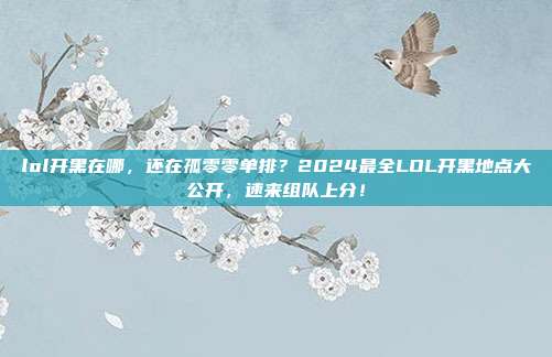 lol开黑在哪,还在孤零零单排?2024最全LOL开黑地点大公开,速来组队上分!