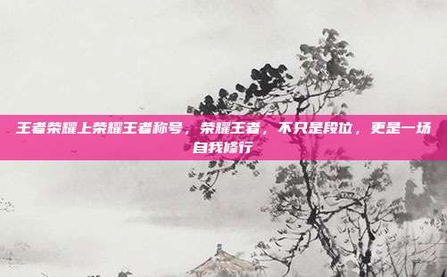 王者荣耀上荣耀王者称号,荣耀王者,不只是段位,更是一场自我修行