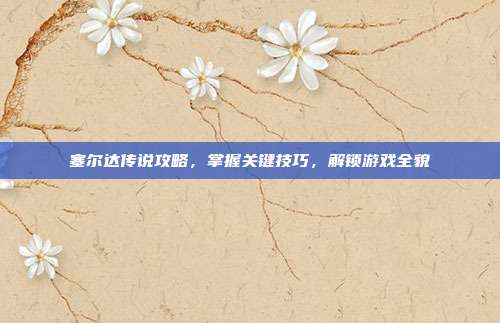 塞尔达传说攻略，掌握关键技巧，解锁游戏全貌