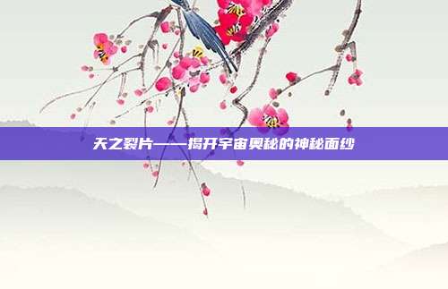 天之裂片——揭开宇宙奥秘的神秘面纱