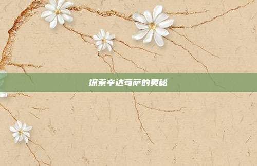 探索辛达苟萨的奥秘