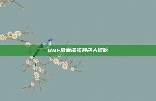 DNF徽章镶嵌颜色大揭秘
