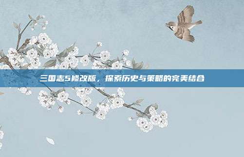 三国志5修改版，探索历史与策略的完美结合