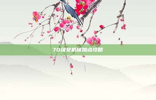 70级女机械加点攻略