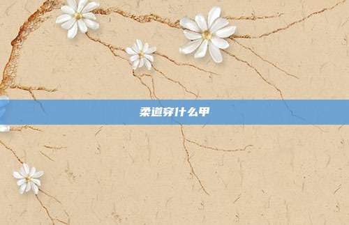 柔道穿什么甲