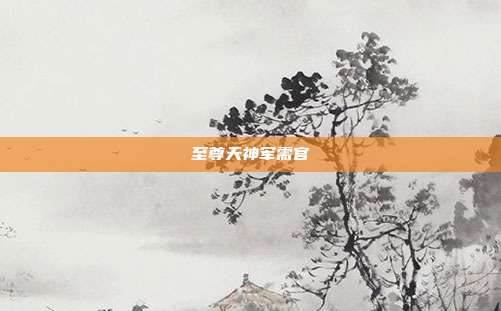 至尊天神军需官