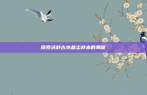 探索沃舒古水晶尘样本的奥秘