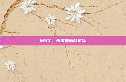 MHX，未来能源的钥匙