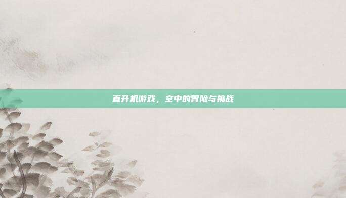 直升机游戏，空中的冒险与挑战