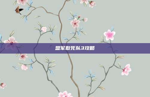 盟军敢死队3攻略