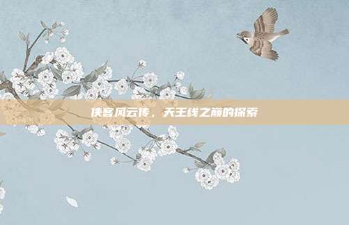 侠客风云传,天王线之巅的探索