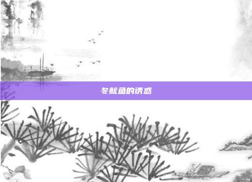 冬鱿鱼的诱惑