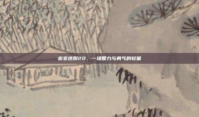 密室逃脱20,一场智力与勇气的较量