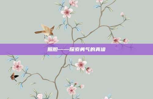 照胆——探索勇气的真谛