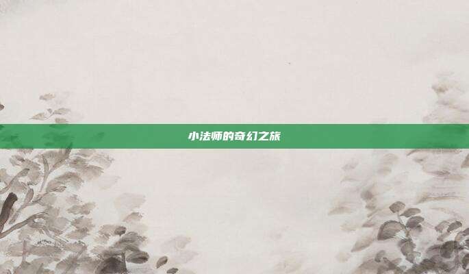 小法师的奇幻之旅