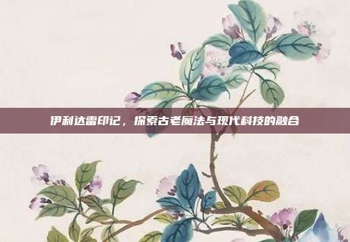 伊利达雷印记,探索古老魔法与现代科技的融合
