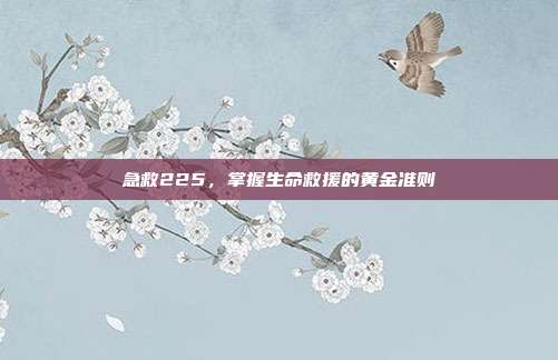 急救225,掌握生命救援的黄金准则