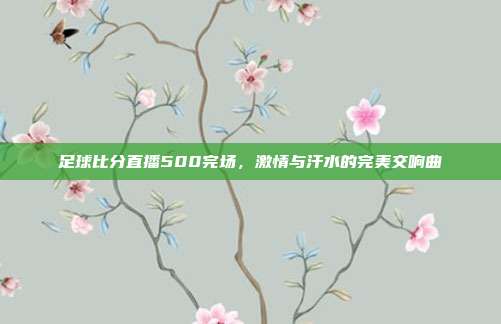 足球比分直播500完场,激情与汗水的完美交响曲