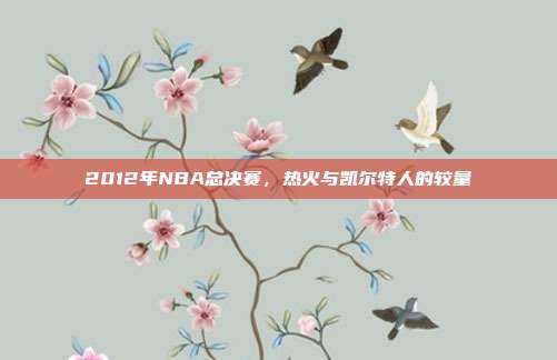2012年NBA总决赛，热火与凯尔特人的较量