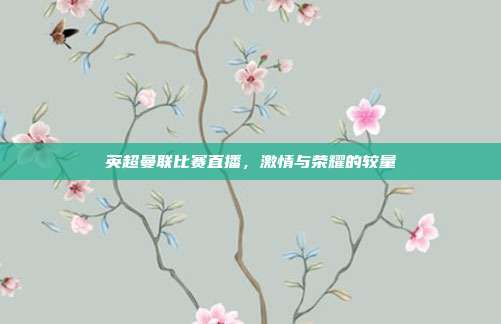 英超曼联比赛直播,激情与荣耀的较量