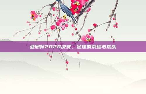 亚洲杯2020决赛,足球的荣耀与挑战