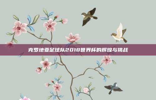 克罗地亚足球队2018世界杯的辉煌与挑战