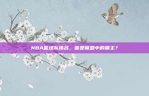 NBA篮球队排名,谁是联盟中的霸主?