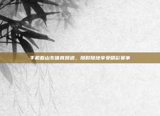 手机看山东体育频道,随时随地享受精彩赛事