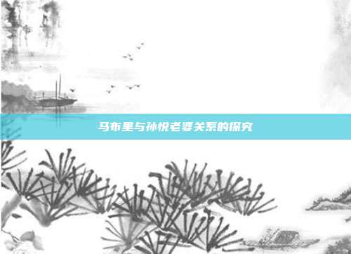 马布里与孙悦老婆关系的探究