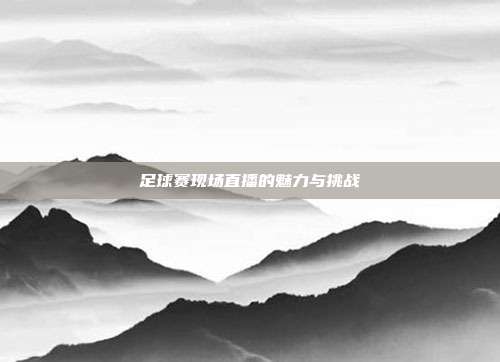 足球赛现场直播的魅力与挑战