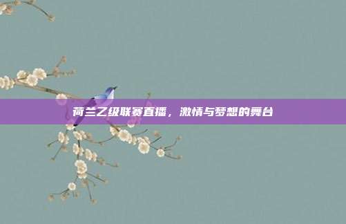 荷兰乙级联赛直播,激情与梦想的舞台
