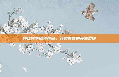 网球男单世界排名,竞技体育的巅峰对决