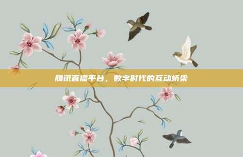 腾讯直播平台,数字时代的互动桥梁