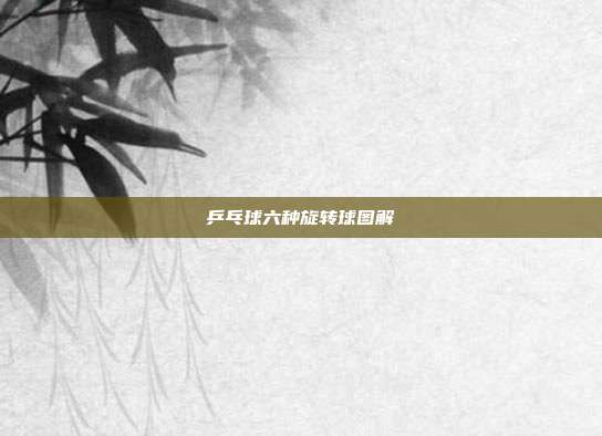 乒乓球六种旋转球图解