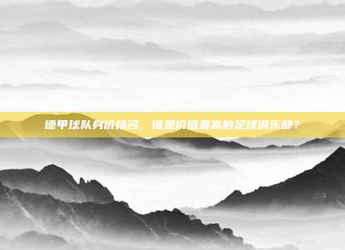 德甲球队身价排名，谁是价值最高的足球俱乐部？