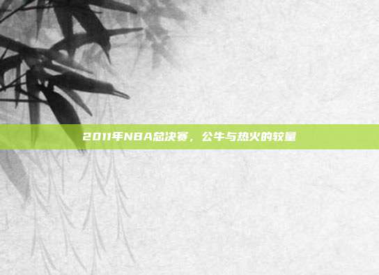 2011年NBA总决赛,公牛与热火的较量