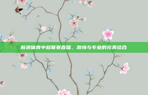 新浪体育中超联赛直播,激情与专业的完美结合