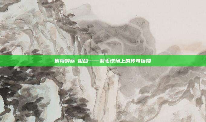 傅海峰蔡赟组合——羽毛球场上的传奇搭档