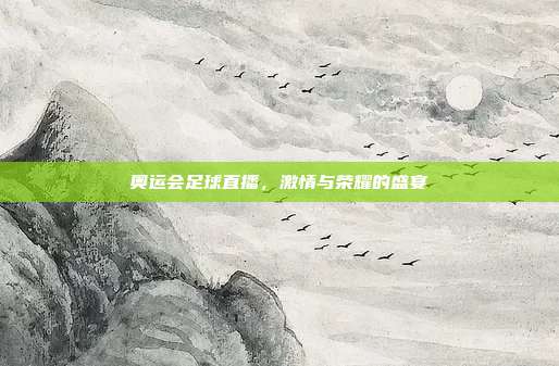 奥运会足球直播,激情与荣耀的盛宴