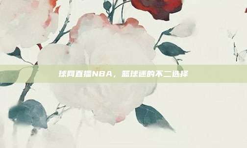 球网直播NBA,篮球迷的不二选择